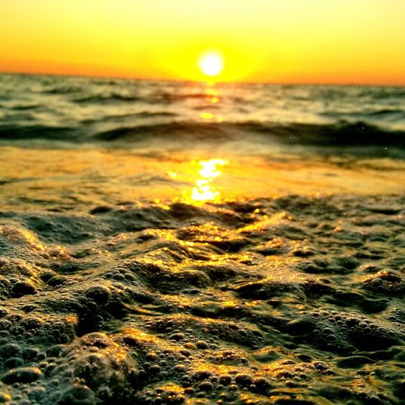 Meet your Posher, Terry - Picture 1 of 2